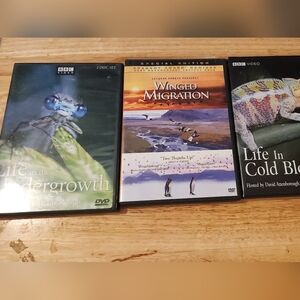 BBC Video DVD Set
